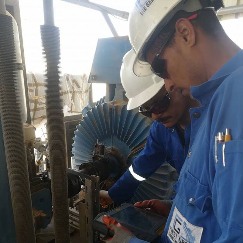 Arab-Petroleum-Pipelines-Company-1